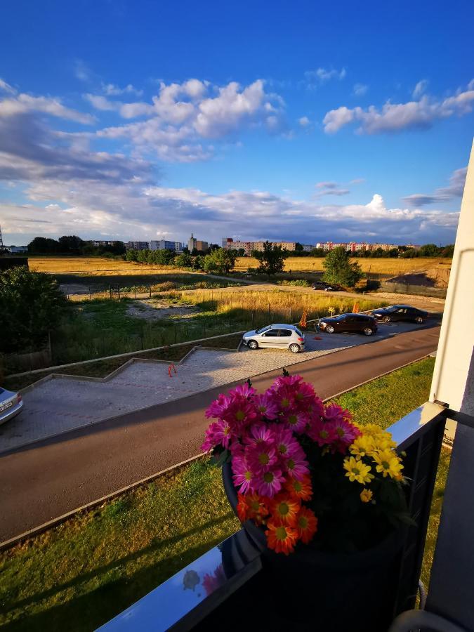 Teo Apartment บราชอฟ ภายนอก รูปภาพ